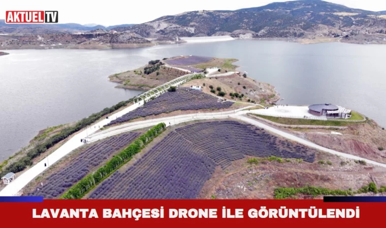 Lavanta Bahçesi Dron İle Görüntülendi