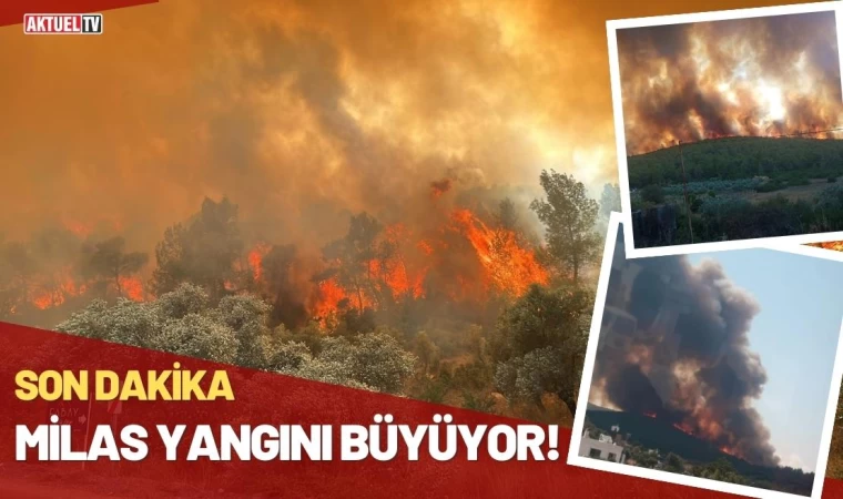 Milas Yangını Büyüyor!