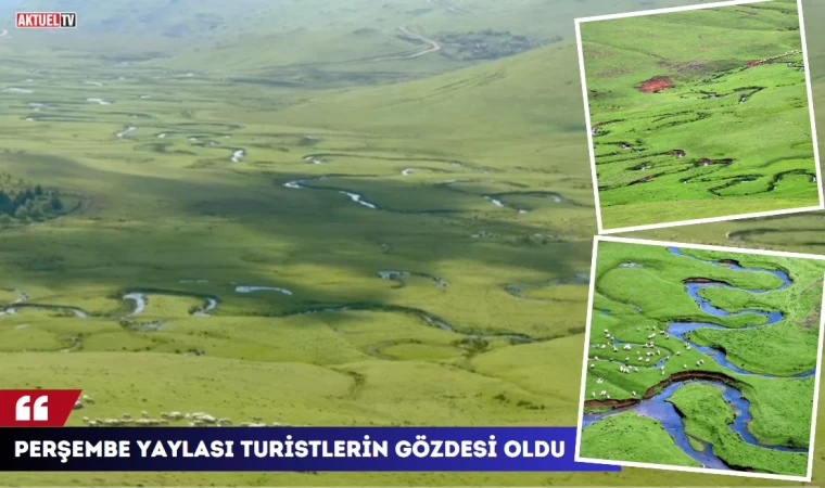 Perşembe Yaylası Turistlerin Gözdesi Oldu