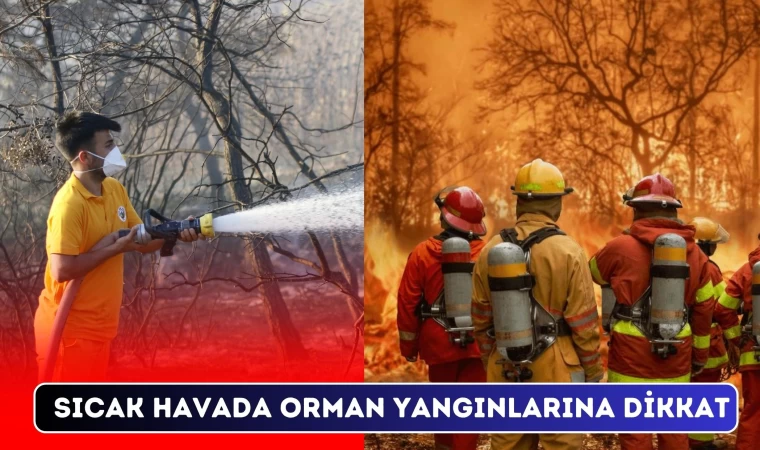 Sıcak Havalarda Orman Yangınlarına Dikkat!!