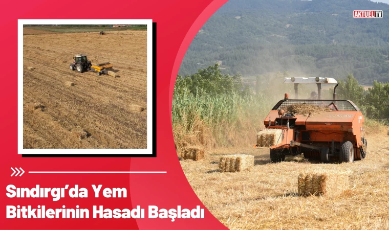 Sındırgı’da Yem Bitkilerinin Hasadı Başladı