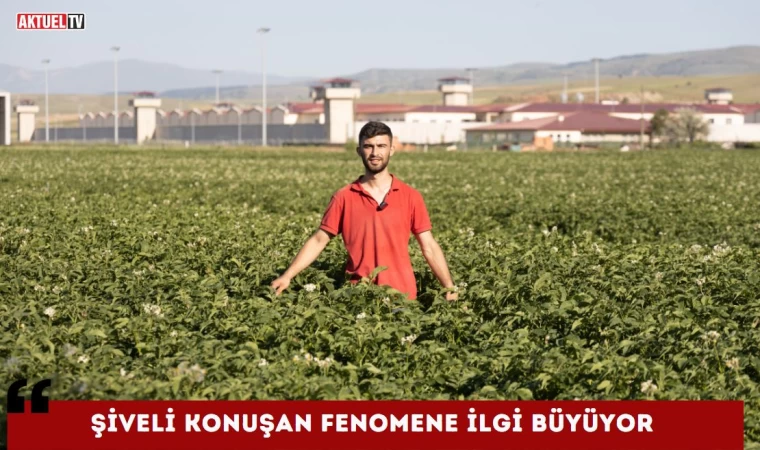 Şiveli Konuşan Fenomene İlgi Büyüyor