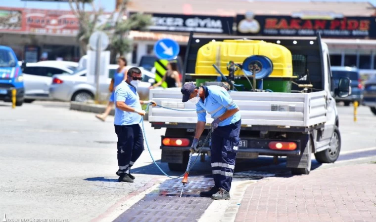 Sivrisineğin nedeni küresel iklim krizi mi?