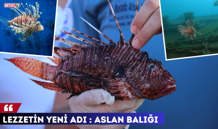 Yeni Lezzet : Aslan Balığı