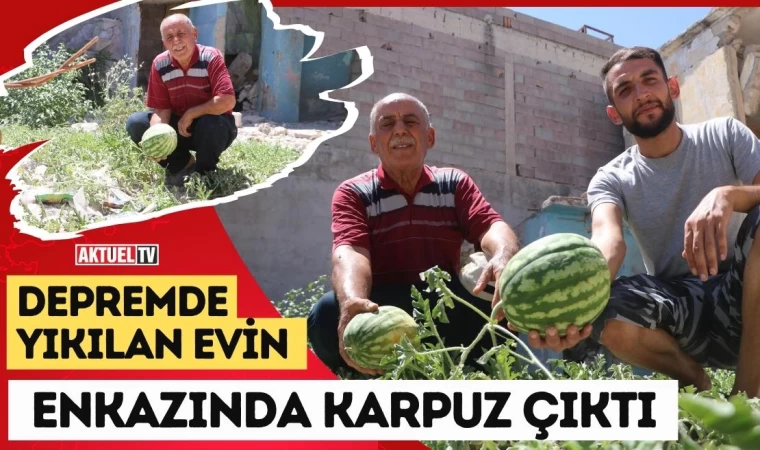 Yıkılan Evin Enkaz Yerinde Karpuz Çıktı