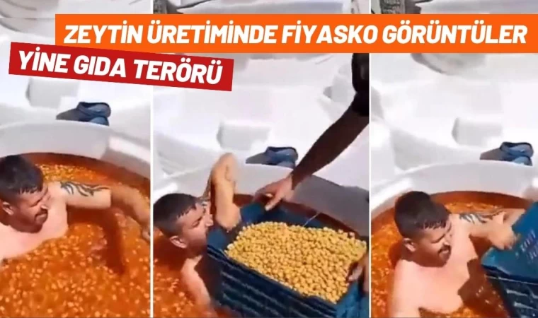 Zeytin Üretiminde Mide Bulandıran Görüntüler!