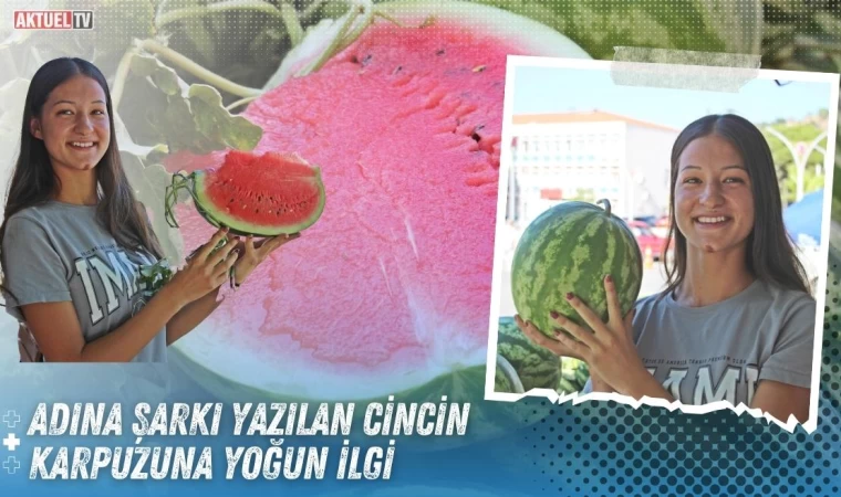 Adına Şarkı Yazılan Cincin Karpuzuna Yoğun İlgi