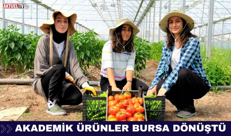 Akademik Ürünler Bursa Dönüştü