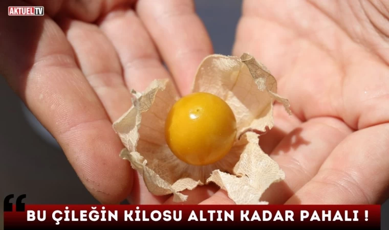 Altın Kadar Pahalı Çilek