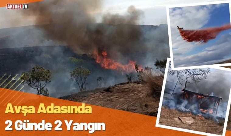 Avşa Adasında 2 Günde 2 Yangın