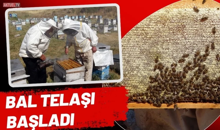 Bal Telaşı Başladı