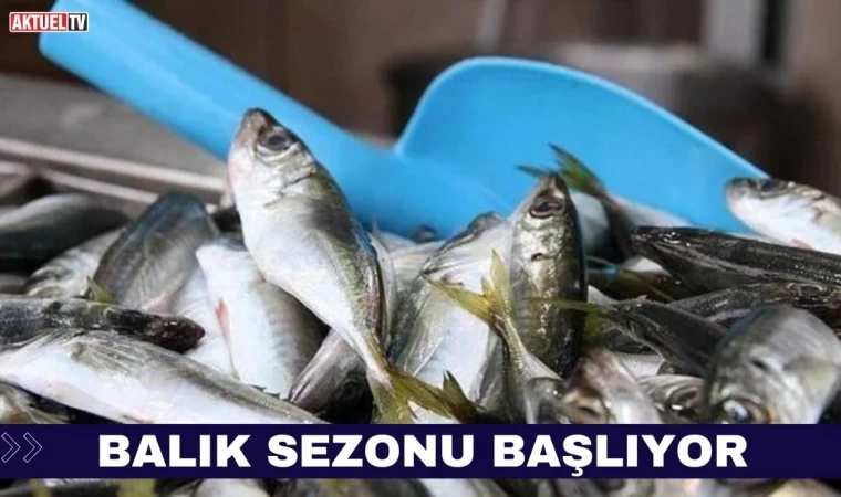 Balık Sezonu Başlıyor