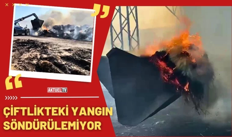 Balıkesir'de Çiftlikteki Yangın Söndürülemiyor