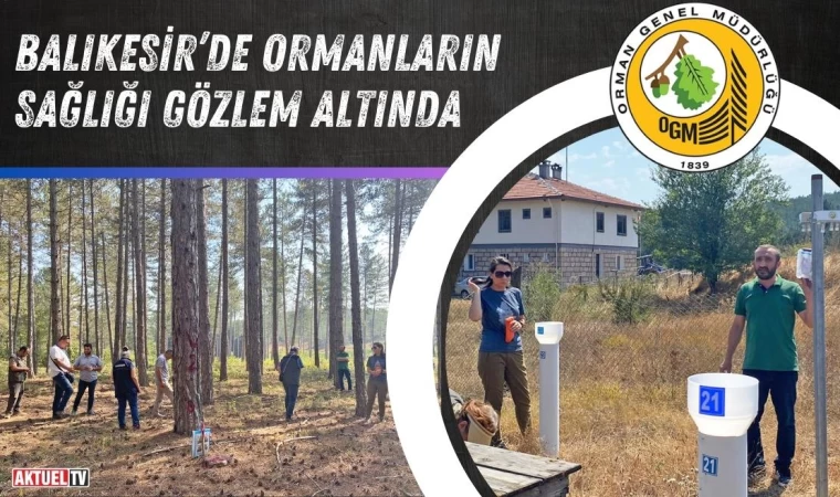 Balıkesir’de Ormanların Sağlığı Gözlem Altında