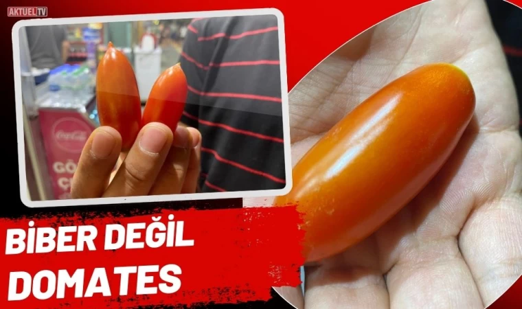 Biber Değil Domates