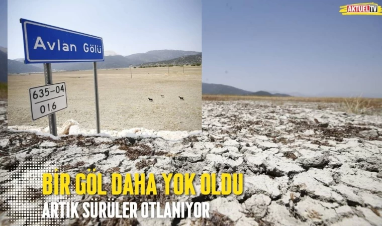 Bir Göl Daha Yok Oldu: Artık Sürüler Otlanıyor