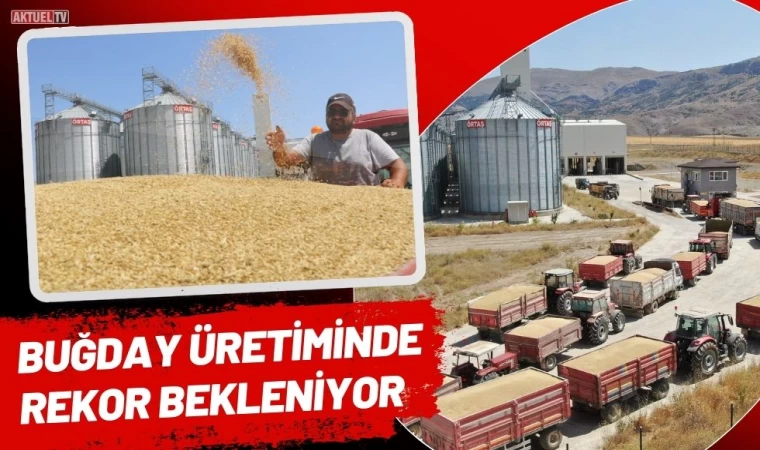 Buğday Üretiminde Rekor Bekleniyor