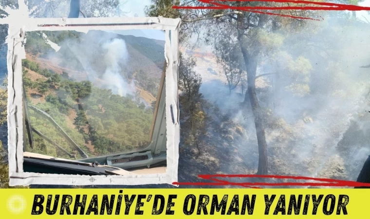 Burhaniye’de Orman Yanıyor