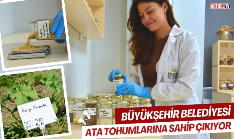 Büyükşehir Belediyesi, Ata Tohumlarına Sahip Çıkıyor