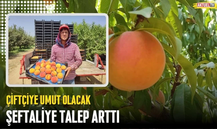 Çiftçiye Umut Olacak Olan Şeftaliye Talep Arttı