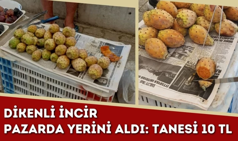 Dikenli İncir Pazarda Yerini Aldı: Tanesi 10 TL