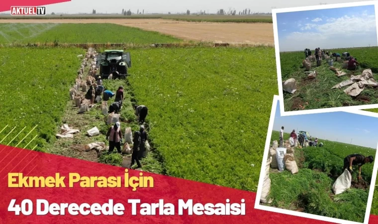 Ekmek Parası İçin 40 Derecede Tarla Mesaisi