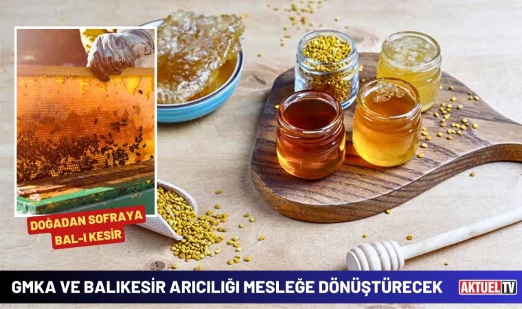 GMKA ve Balıkesir Arıcılığı Mesleğe Dönüştürecek