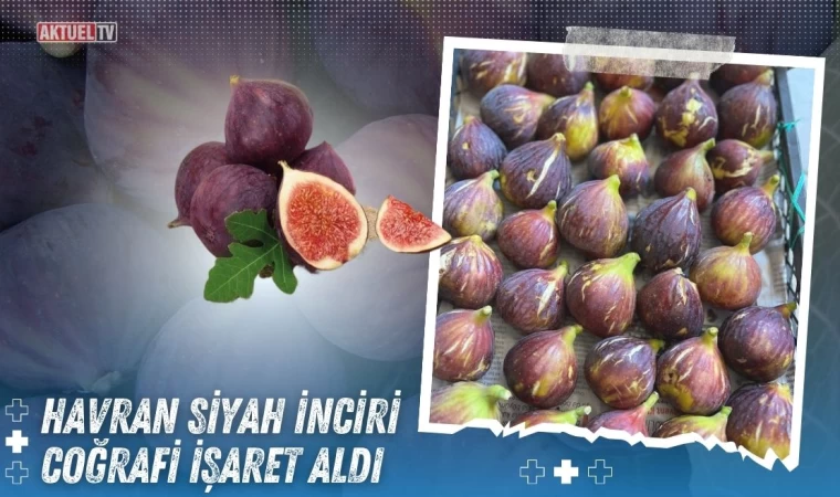 Havran Siyah İncirine Coğrafi İşaret