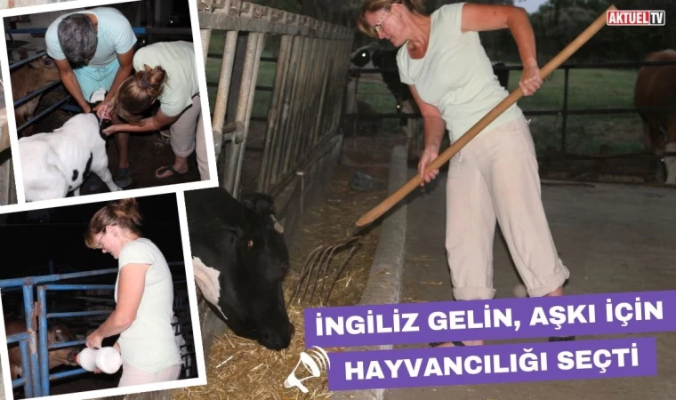 İngiliz Gelin, Aşkı İçin Hayvancılığı Seçti