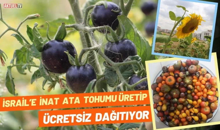 İsrail’e İnat Ata Tohumu Üretip Ücretsiz Dağıtıyor