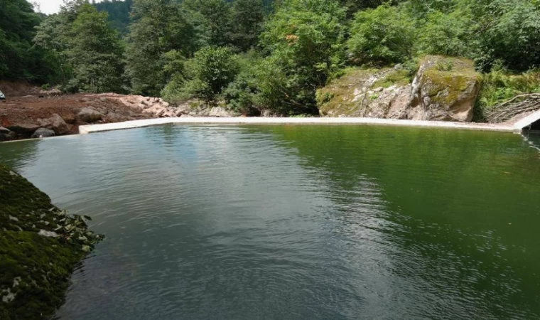 Karadeniz Kuraklığa Karşı Çözümü Buldu