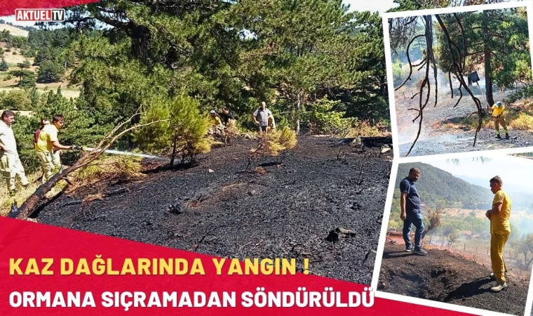 Kaz Dağları’ndaki Yangın Ormana Sıçramadan Söndürüldü