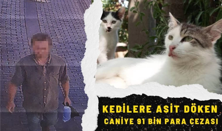 Kedilere Asit döken Caniye 91 Bin para Cezası