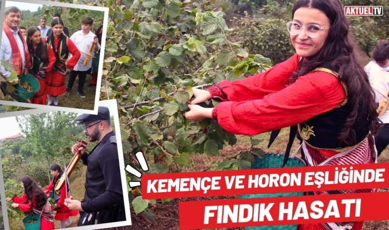 Kemençe ve Horon Eşliğinde Fındık Hasatı