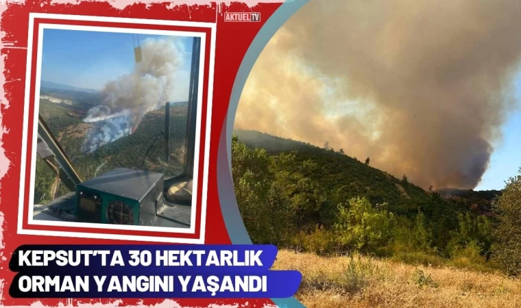 Kepsut’ta 30 Hektarlık Orman Yangını Yaşandı