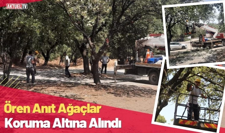 Ören Anıt Ağaçlar Koruma Altına Alındı