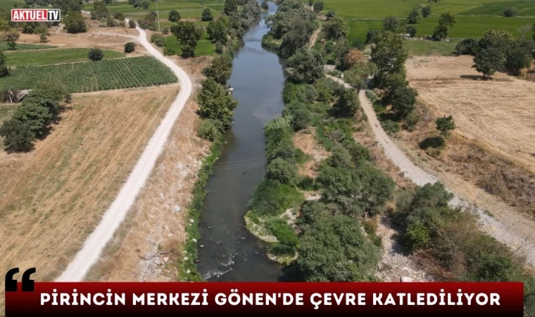 Pirincin Merkezi Gönen’de Çevre Katlediliyor