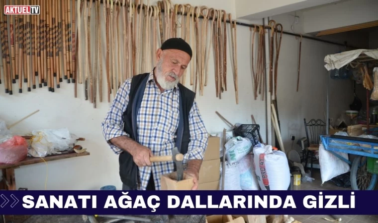 Sanatı Ağaç Dallarında Gizli