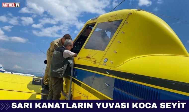 Sarı Kanatların Yuvası Koca Seyit