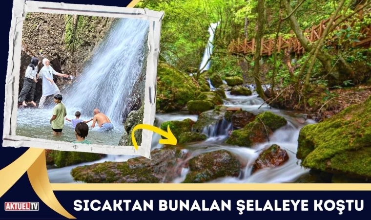 Sıcaktan Bunalan Şelaleye Koştu