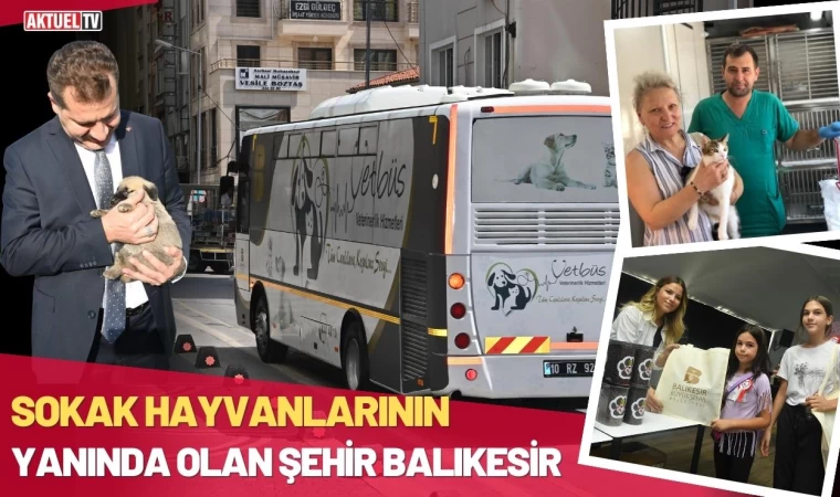 Sokak Hayvanlarının Yanında Olan Şehir Balıkesir