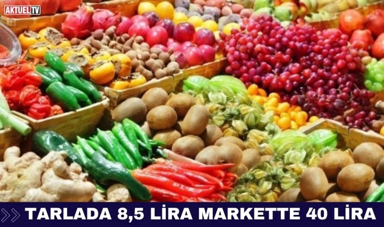 Tarlada 8,5 Lira Markette 40 Lira