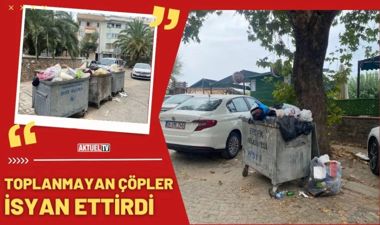 Toplanmayan Çöpler İsyan Ettirdi