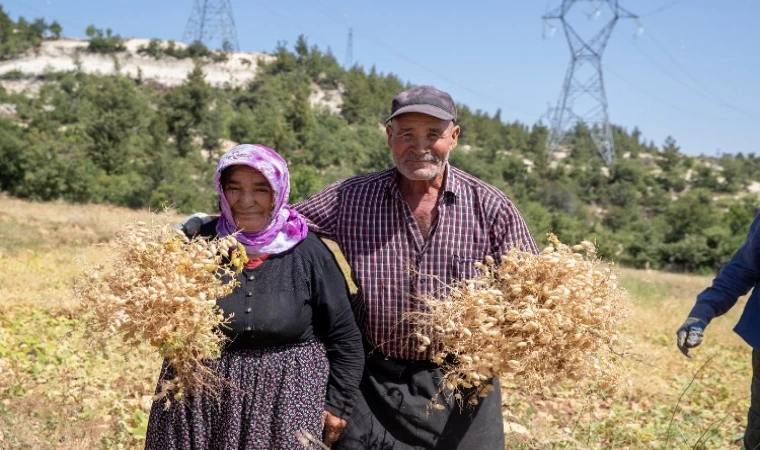 Toprağa Bereket Desteği