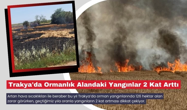 Trakya'da Ormanlık Alandaki Yangınlar 2 Kat Arttı