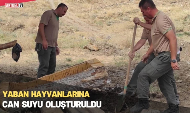 Yaban Hayvanlarına Can Suyu Oluşturuldu