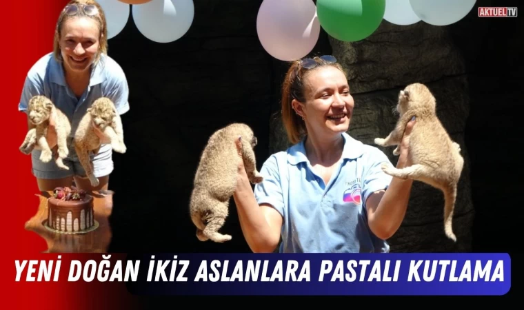 Yeni Doğan İkiz Aslanlara Pastalı Kutlama