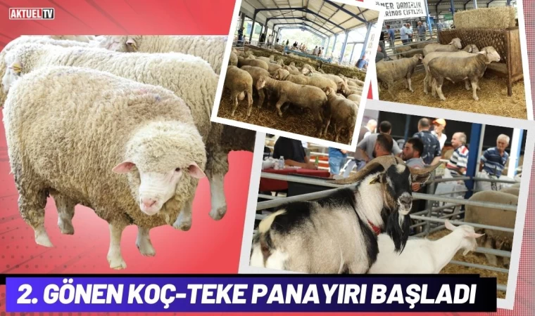 2. Gönen Koç-Teke Panayırı Başladı