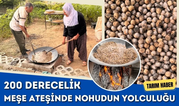 200 Derecelik Meşe Ateşinde Nohudun Yolculuğu