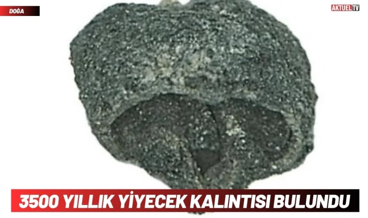 3500 Yıllık Yiyecek Kalıntısı Bulundu